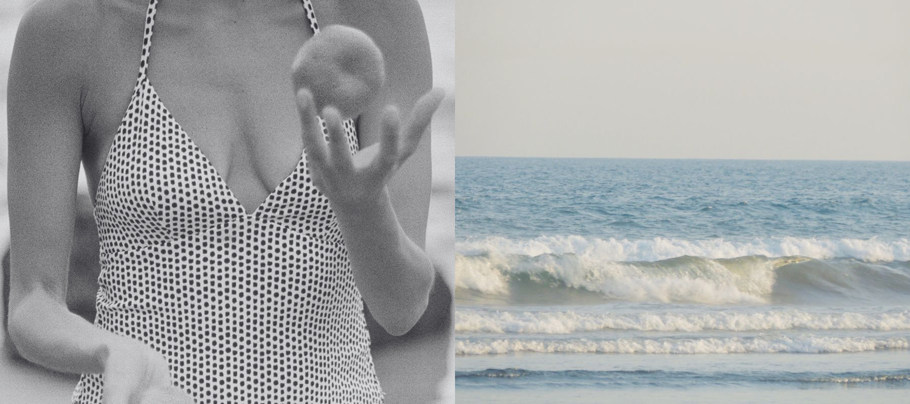 Animal Welfare Policy