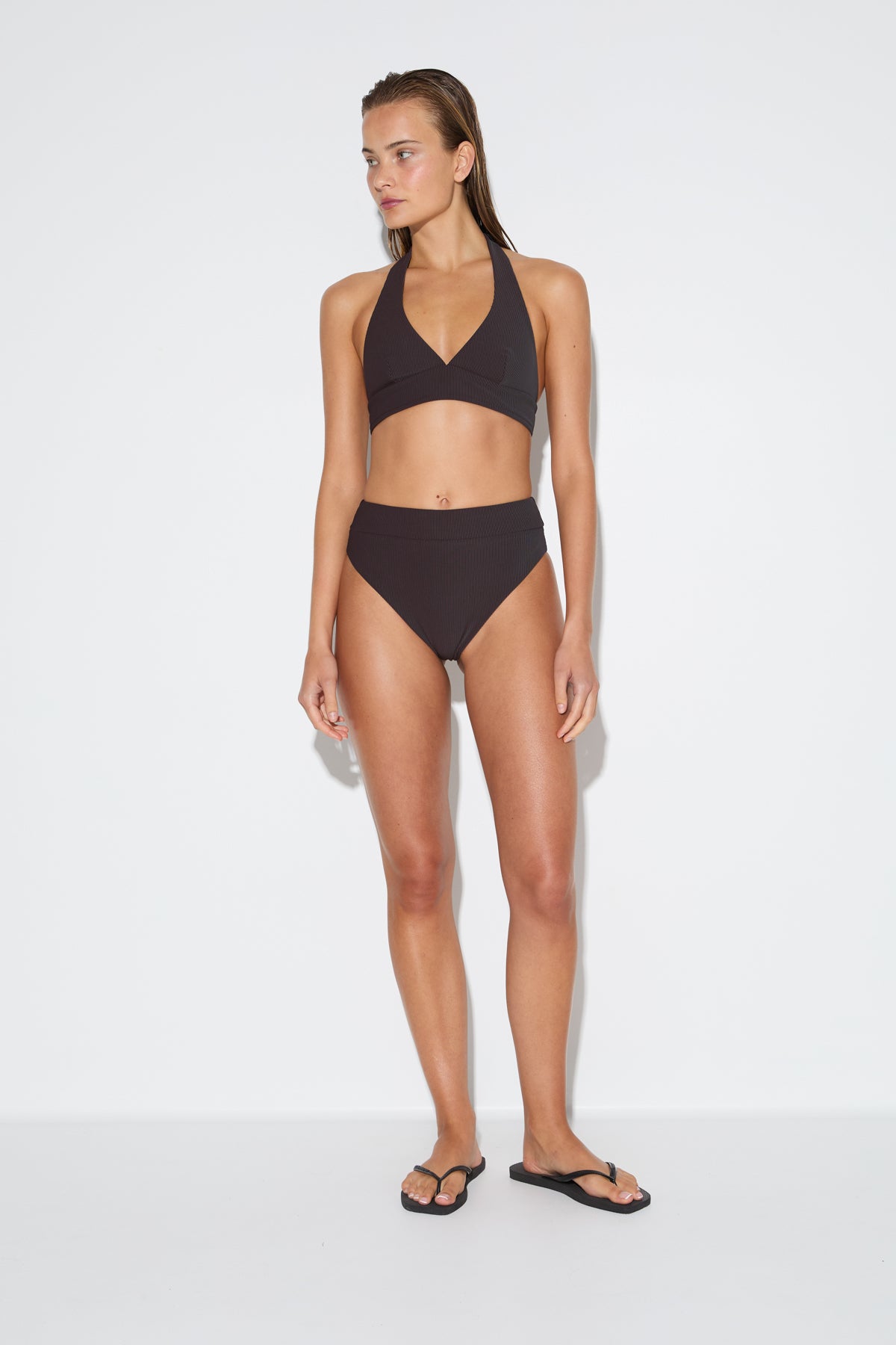 Signature Stripe High Waisted Brief - Smoky Brown