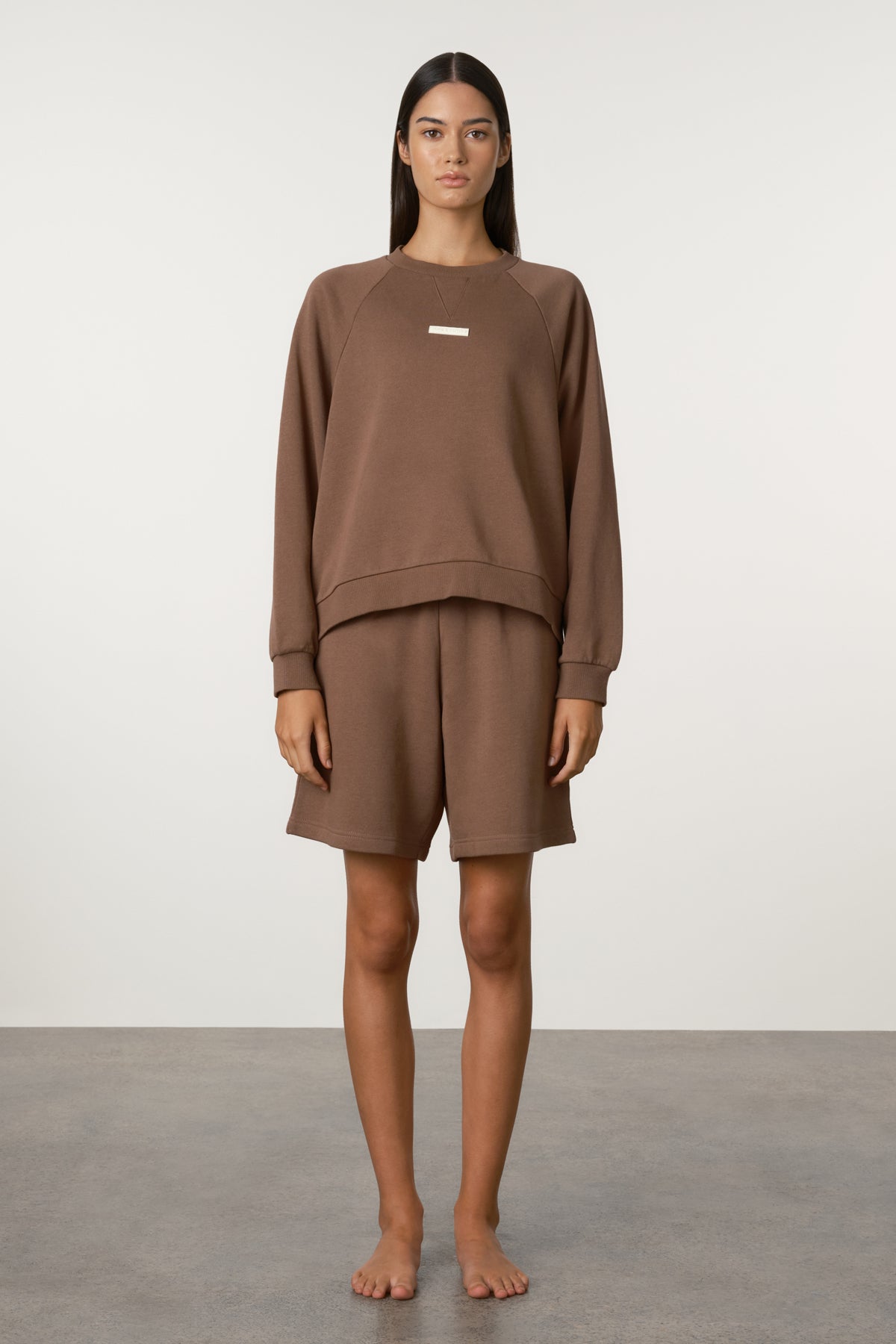 Raglan Sport Sweatshirt - Carob